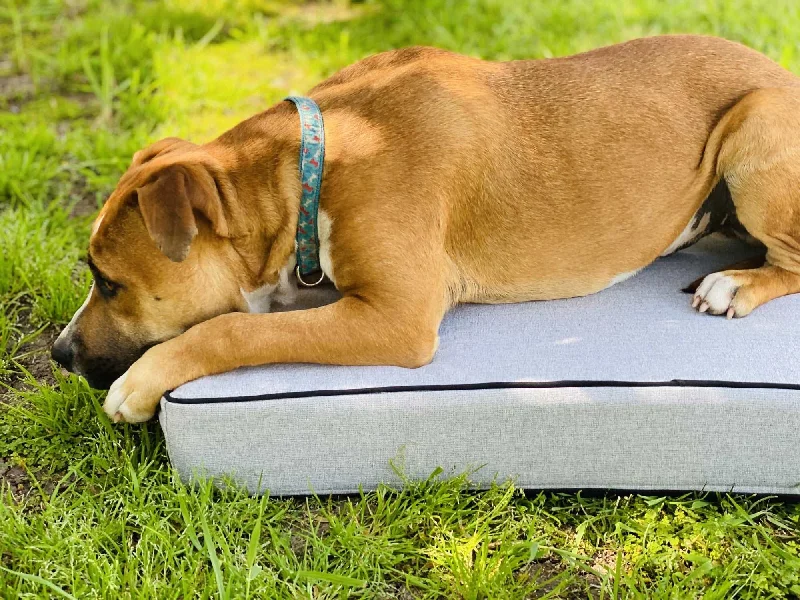 Feather Pillows for a Luxurious SleepGrey  - Pet Bed