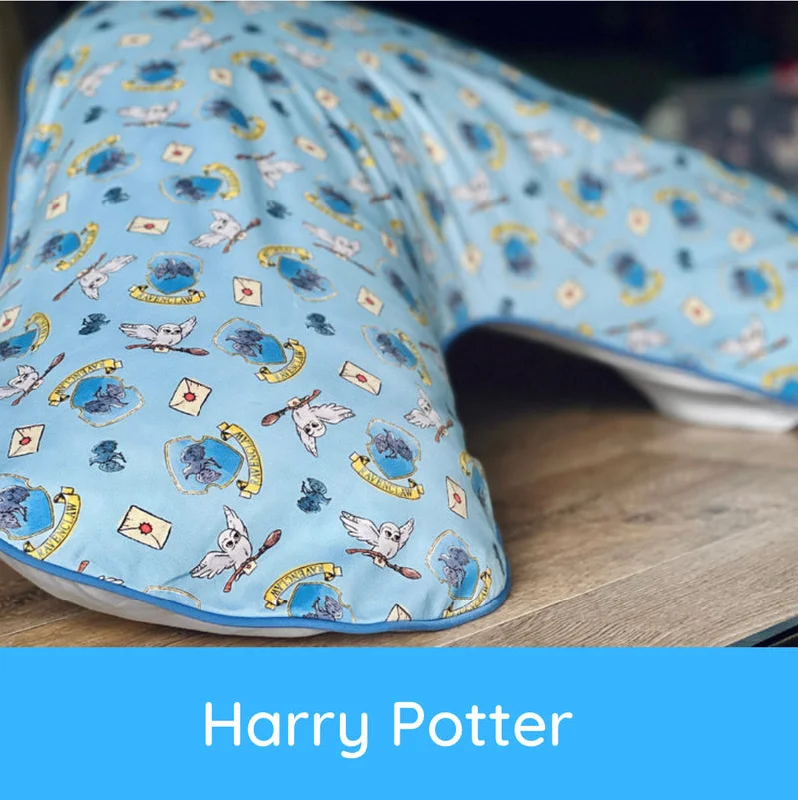 Square Pillows for Modern Home DecorHarry Potter - blue - Boomerang Pillow Case