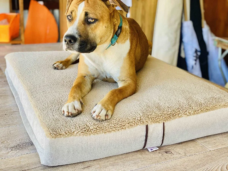 Travel Pillows for Long JourneysSherpa  - Pet Bed