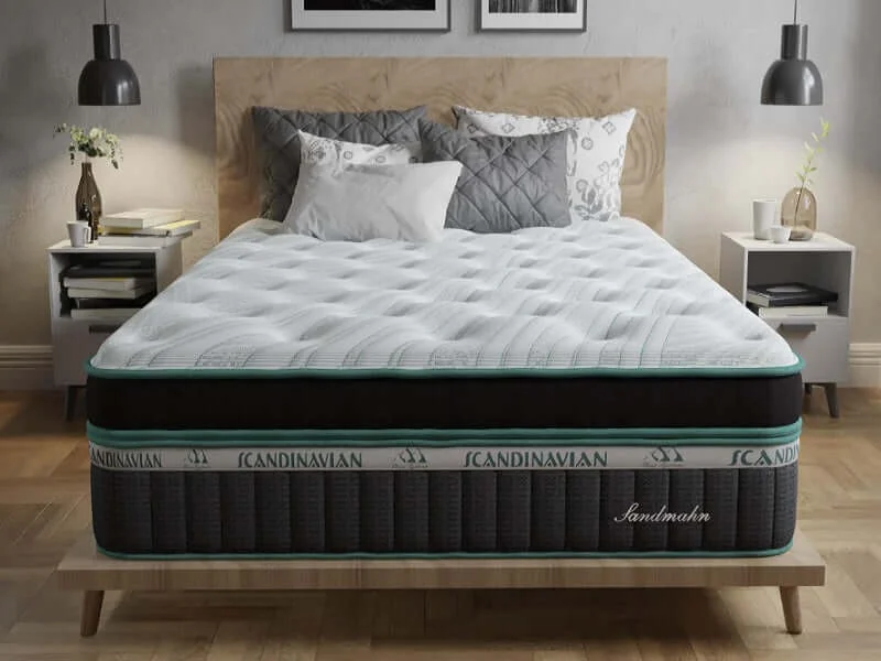 Polyester - foam mattresses for budget - friendly optionsSoutherland Scandinavian Collection Anniversary Cushion Firm Box Top 14" Latex Foam Mattress