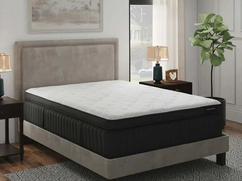 Queen - size mattresses for couples and standard bedroomsEnglander The Supreme Collection Beckford Luxury Plush Box Top 16" Mattress