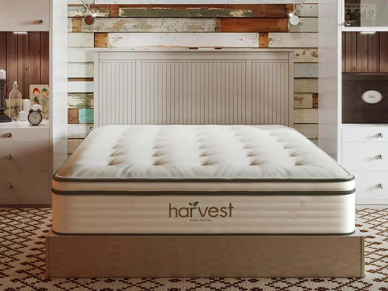 Polyester - foam mattresses for budget - friendly optionsHarvest Green Plush GOTS Certified Pillow Top 13" Mattress