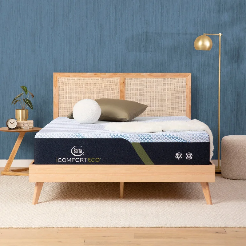 Polyester - foam mattresses for budget - friendly optionsSerta iComfortECO Foam Mattress