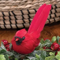 Small Feathered Cardinal Clip