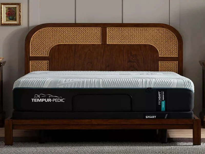 Hybrid mattresses combining foam and innerspring technologyTempur-Pedic TEMPUR-ProAdapt® Medium 12" Mattress